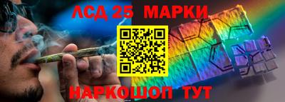 Альфа ПВП Дубна