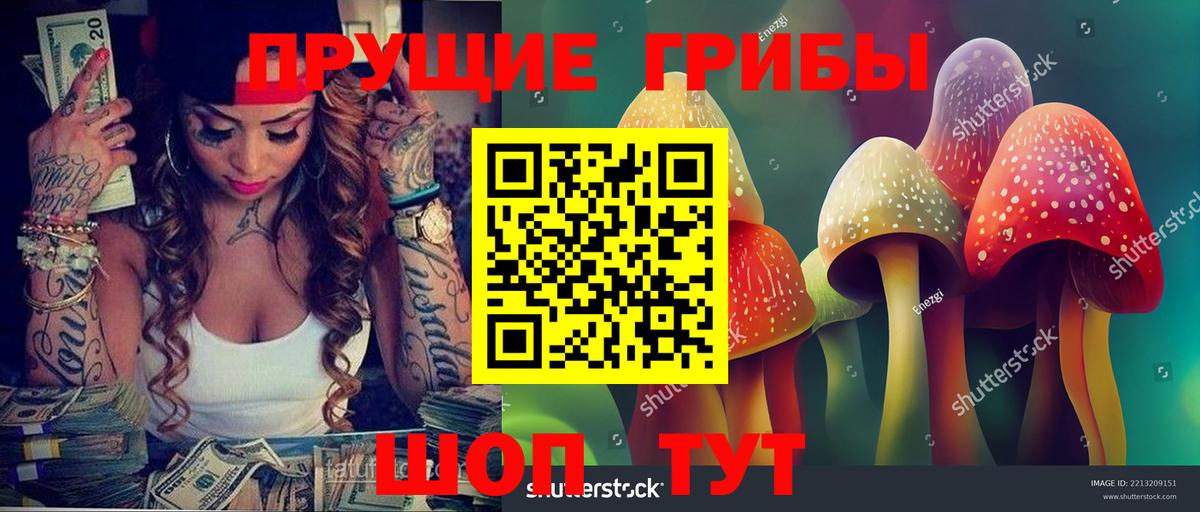 Галлюциногенные грибы Psilocybine cubensis Железногорск